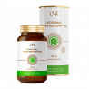 Липосомальный транс-ресвератрол Liposomal Vitamins (предпросмотр)